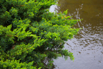 Komatsugawa Sakaigawa Water Park in Tokyo, Japan