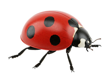 Isolated Red Ladybug with Black Spots Detailed