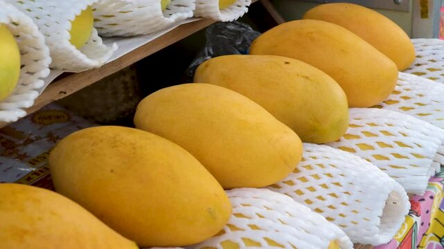 Mango tropical fruit with green leaf, Ripe mango in grass closeup, Cut Slices