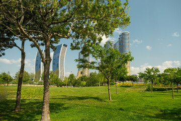 Modern Skyscrapers and Residential Towers Rising Above Green Park in Istanbul Turkey on Sunny Day with Blue Sky and White Clouds Framed by Lush Trees