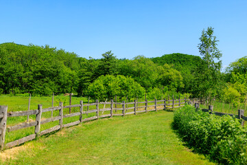 牧場の風景