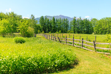 牧場の風景