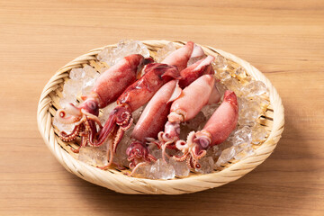 釜揚げ　ヤリイカ