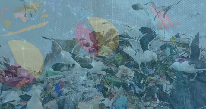 Gulls pecking through waste heap in coastal dump, with plastic bags bottles and digital overlays