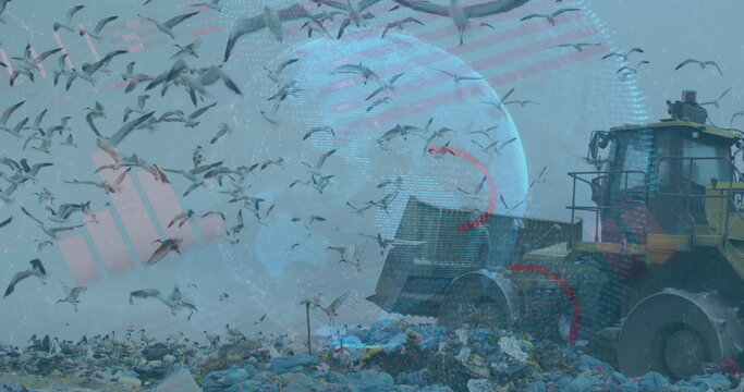 Naklejki Pushing compactor leveling garbage at dump, with gulls, globe and flag-stripe overlay, copy space