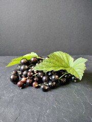 black currant berries