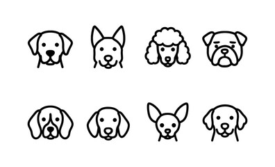 Popular dog breeds: labrador, shepherd, poodle, bulldog, beagle, dachshund, chihuahua, golden retriever