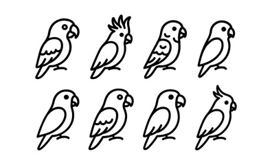 Fototapeta premium Collection of parrot line art illustrations: minimalist tropical birds with unique features