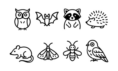 Outline illustration of woodland and insect creatures featuring owl, bat, raccoon, and more