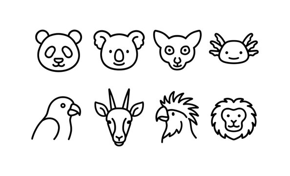 Minimalist animal faces: cute line art icons of panda, koala, parrot, and more