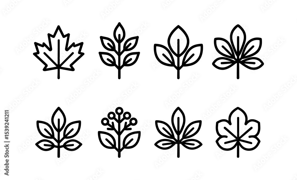 Poster minimalist outline collection of various leaf icons for design projects