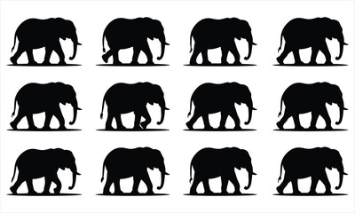 Naklejka premium Twelve black silhouettes of walking elephants