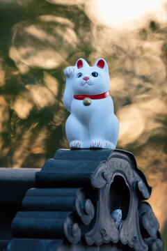 White beckoning cat  also called Maneki neko at Gotokuji temple in Japan