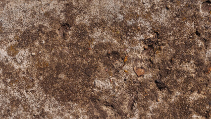 Aged grunge mossy concrete wall, stone textured background