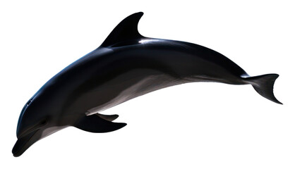Obraz premium PNG A jumping black dolphin shadow animal mammal fish.