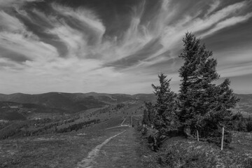 View from le petit ballon in the french vosges.