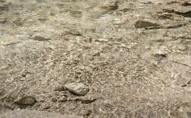 Calm clear water in forest stream