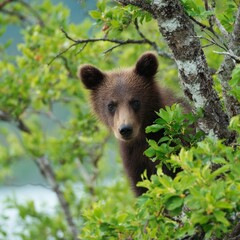 Fototapeta premium A cute baby bear is peering out inquisitively from the branches of a leafy tree. This charming scene captures the natural world's adorable side