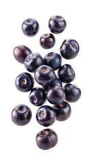 Fresh, juicy acai berries isolated on a white background ready to eat