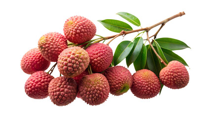A bunch of fresh lychees hanging on a tree branch, ready to eat