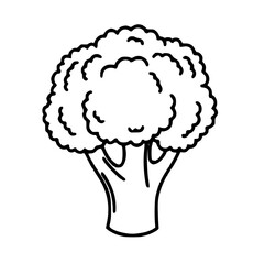 Broccoli Healthy Food Vector Line Art