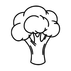 Broccoli Healthy Food Vector Line Art