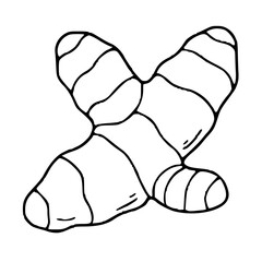 Ginger Root Illustration Hand Drawn 