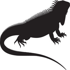 Silhouette of an iguana reptile with spiky scales and a long tail on a white background image