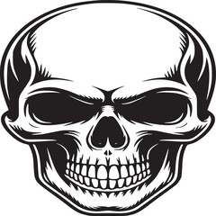 A detailed vector illustration of a human skull with a beige background and bold black lines