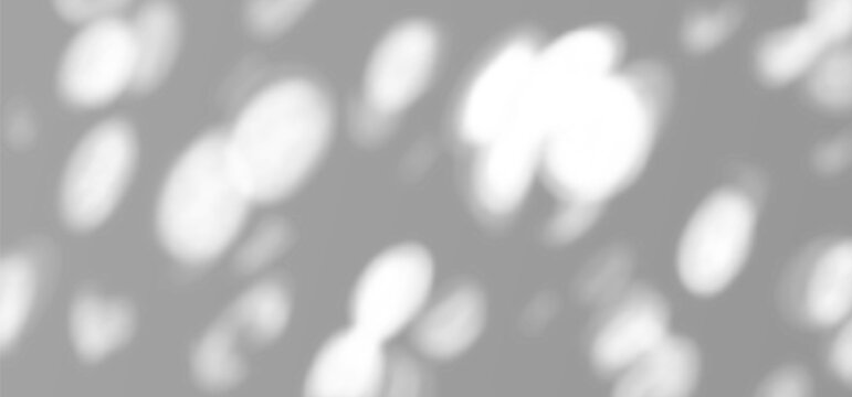 Shadow and Light Overlay Background. Sunlight Effect of Tree Leaves and Sun on the Wall. Vector Transparent Plant Shadows