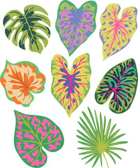 Abstract vector set of colourful tropical leaves