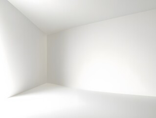 A clean white background with smooth, gradual light falloff creating a soft, natural depth.