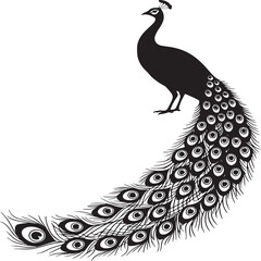 Fototapeta premium Black peacock silhouette with detailed tail feathers on a plain white background design element