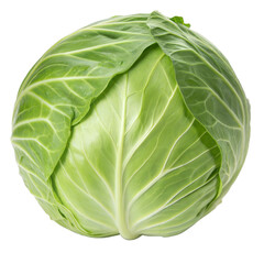 Obraz premium Fresh green head of cabbage isolated on transparent background.