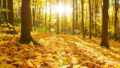 Golden Autumn Forest Sunlight.