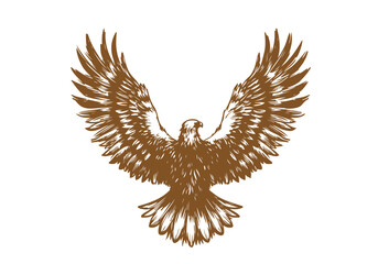 Golden Eagle hand drawn sketch vector illustration