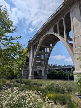 Concrete bridge in a green park