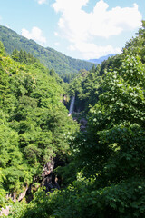 Obraz premium 綿ケ滝