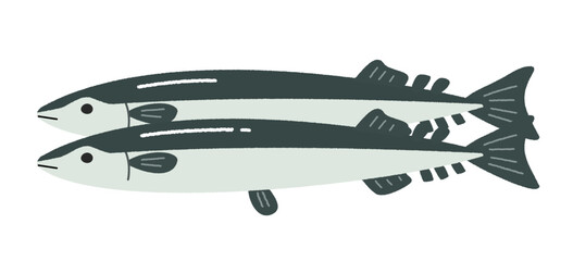 二尾のさんまのイラスト