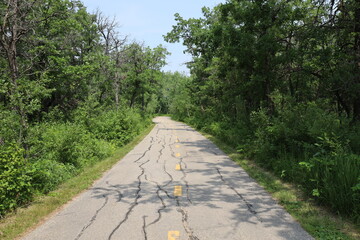 narrow paved road through dense boreal forest under blue skies on sunny summer day