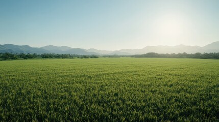 Idyllic wide-angle view of lush green grass field stretching to distant mountains under bright clear sky with soft sunlight in a peaceful rural landscape scene