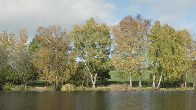 Ruhiges Gew&auml;sser am Meerpfuhl Weiher bei Merzhausen Usingen, Hochtaunuskreis, Hessen, Deutschland