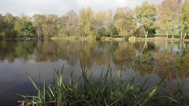 Ruhiges Gew&auml;sser am Meerpfuhl Weiher bei Merzhausen Usingen, Hochtaunuskreis, Hessen, Deutschland