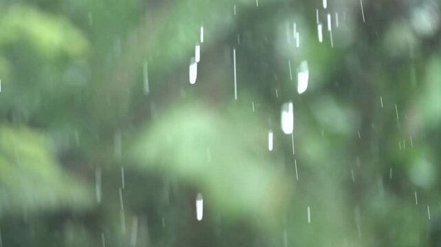 Chuva intensa com fundo desfocado