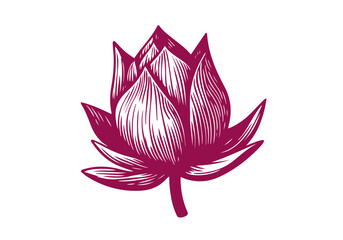 Lotus Flower Hand Drawn Natural Illustration Stylized as Linocut Vector Isolated by AZ for Books, Arts, Design and Decoration Graphic Asset