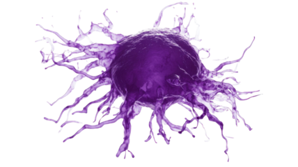 Title: Isolated Purple Cancer Cell on White Background 3D Medical Illustration for Science and Healthcare Projects