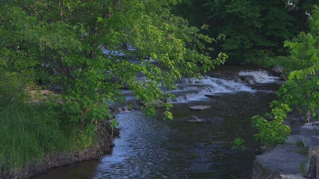 Small rapids on a river in spring