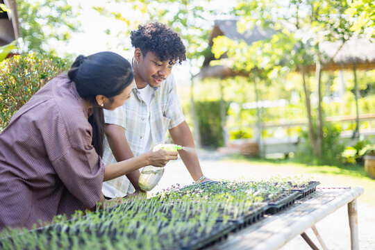 Young scientist in agricultural farm is working with research team to nurture seedlings and study plant growth in bright outdoor environment full of natural light and greenery - Powered by Adobe