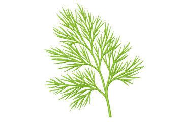 Naklejka premium Sprig of fresh dill with feathery green leaves, isolated on a transparent background, perfect for food and culinary projects