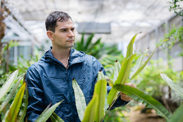 Young scientist in farm greenhouse is conducting agricultural research with focus and care as part...